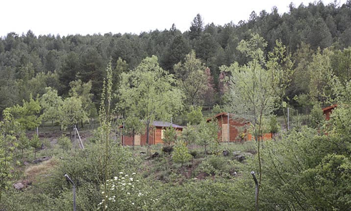 Entorno natural del albergue en la serrania de Cuenca