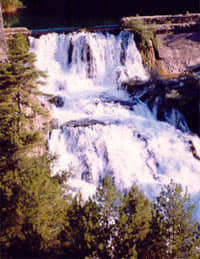 Parque Natural del Alto Tajo